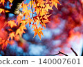 深秋時節，大崎山公園的楓樹紅葉（10張照片） - 香川縣坂出市 140007601