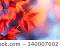 深秋時節，大崎山公園的楓樹紅葉（11）香川縣坂出市 140007602