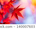 深秋時節，大崎山公園的楓樹紅葉（12）香川縣坂出市 140007603