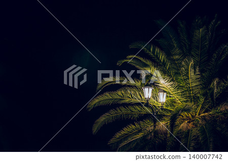 dark night palm and lantern light glare long exposure photography dark night palm and lantern light glare long exposure photography 140007742