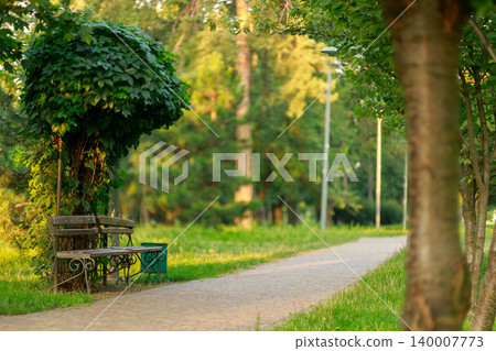 nature landscape park perspective road foot path way with empty bench sitting place nature landscape park perspective road foot path way with empty bench sitting place 140007773
