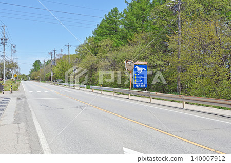 A road in early summer on the Nobeyama Plateau, a single path surrounded by fresh greenery and marked by the blue signpost of Takizawa Ranch. A road in early summer on the Nobeyama Plateau, a single path surrounded by fresh greenery and marked by the blue signpost of Takizawa Ranch. 140007912