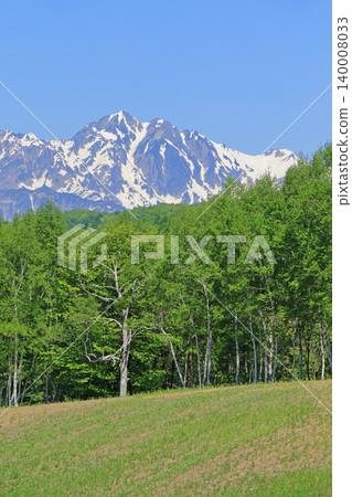 五月的北阿爾卑斯山脈,從中山高原眺望 五月的北阿爾卑斯山脈,從中山高原眺望 140008033