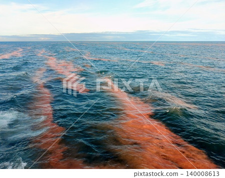 Red tide in the Pacific Ocean 140008613