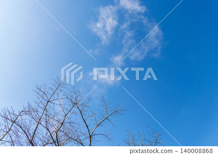 Blue sky, clouds, and trees viewed from a mountain in early spring (12) 140008868