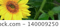 Summer Yellow 140009250