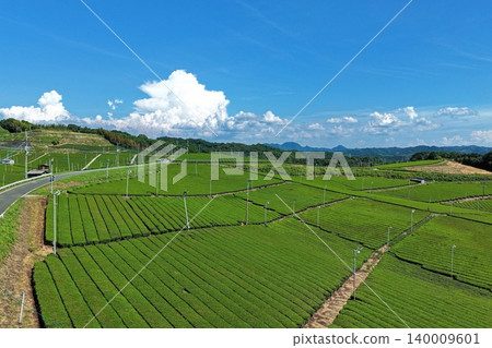 An aerial photograph showing a tea plantation in Yame City, Fukuoka Prefecture, viewed from an oblique angle. An aerial photograph showing a tea plantation in Yame City, Fukuoka Prefecture, viewed from an oblique angle. 140009601