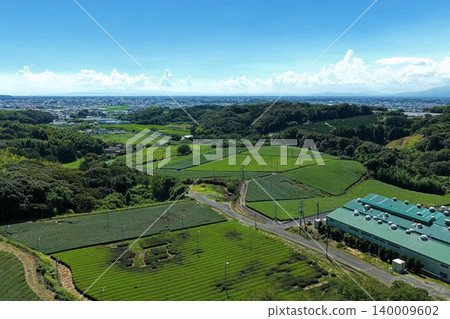 從空中俯瞰福岡縣八女市的茶園和茶葉加工廠。 從空中俯瞰福岡縣八女市的茶園和茶葉加工廠。 140009602
