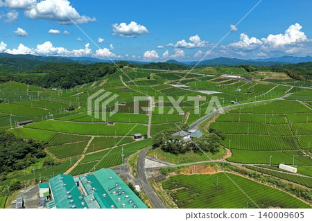 An aerial photograph overlooking the tea plantations of Yame City, Fukuoka Prefecture. An aerial photograph overlooking the tea plantations of Yame City, Fukuoka Prefecture. 140009605