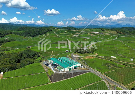 An aerial photograph overlooking the tea plantations of Yame City, Fukuoka Prefecture. 140009606
