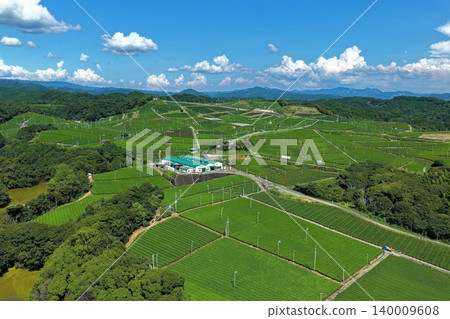 An aerial photograph showing a tea plantation in Yame City, Fukuoka Prefecture, viewed from an oblique angle. 140009608