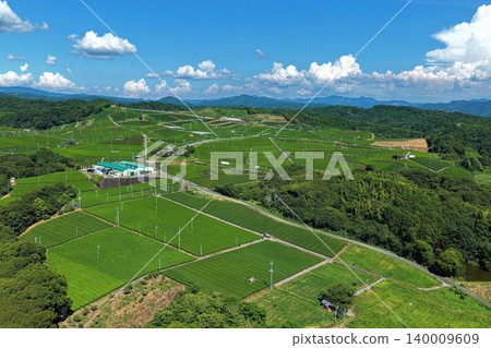 An aerial photograph overlooking the tea plantations of Yame City, Fukuoka Prefecture. An aerial photograph overlooking the tea plantations of Yame City, Fukuoka Prefecture. 140009609