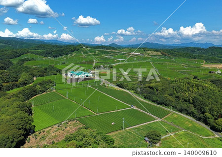 An aerial photograph overlooking the tea plantations of Yame City, Fukuoka Prefecture. 140009610