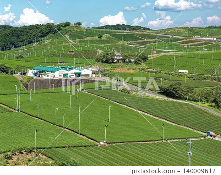 An aerial photograph overlooking the vast tea plantations of Yame City, Fukuoka Prefecture. 140009612