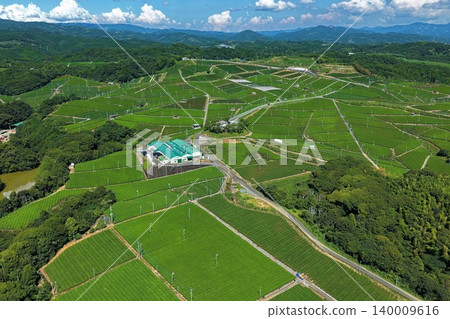 An aerial photograph overlooking the vast tea plantations of Yame City, Fukuoka Prefecture. 140009616