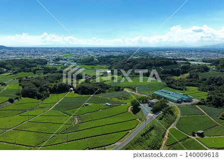 An aerial photograph overlooking the tea plantations of Yame City, Fukuoka Prefecture. 140009618