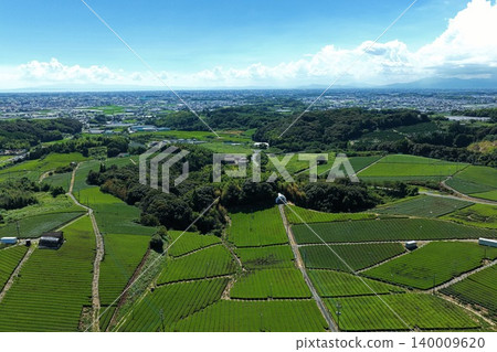 An aerial photograph overlooking the tea plantations of Yame City, Fukuoka Prefecture. 140009620