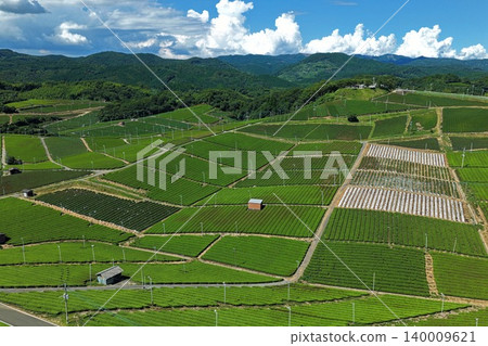 An aerial photograph showing a tea plantation in Yame City, Fukuoka Prefecture, viewed from an oblique angle. 140009621