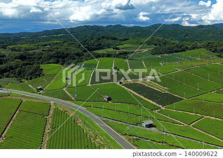 An aerial photograph showing a tea plantation in Yame City, Fukuoka Prefecture, viewed from an oblique angle. An aerial photograph showing a tea plantation in Yame City, Fukuoka Prefecture, viewed from an oblique angle. 140009622