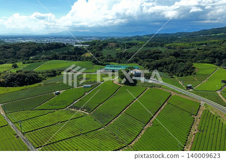 An aerial photograph overlooking the tea plantations of Yame City, Fukuoka Prefecture. 140009623