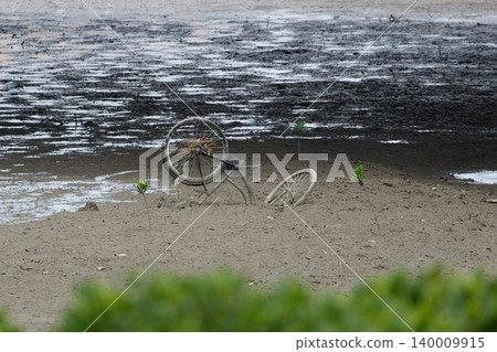 Abandoned bicycle 140009915
