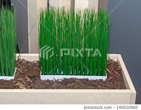 Green grass plant at home Green grass plant at home 140010060