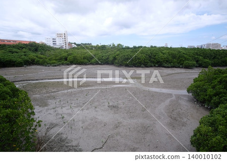 Lake Manko at low tide Lake Manko at low tide 140010102