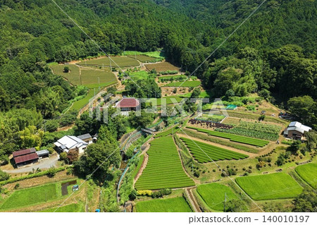 An aerial photograph overlooking tea plantations and rural settlements in Hadano City, Kanagawa Prefecture. An aerial photograph overlooking tea plantations and rural settlements in Hadano City, Kanagawa Prefecture. 140010197