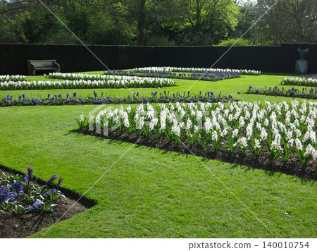 英格蘭安格爾西修道院的花園 英格蘭安格爾西修道院的花園 140010754