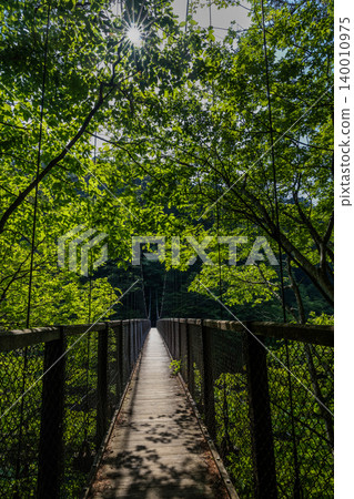 Nasu Suspension Bridge of Remembrance 140010975