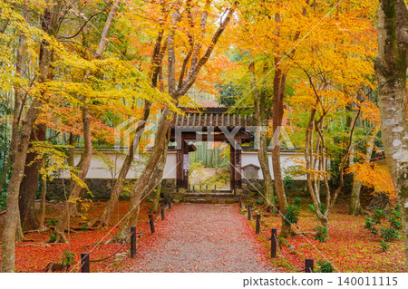 Kyoto: Jizo-in Temple (Bamboo Temple) surrounded by autumn leaves - Main Gate Kyoto: Jizo-in Temple (Bamboo Temple) surrounded by autumn leaves - Main Gate 140011115