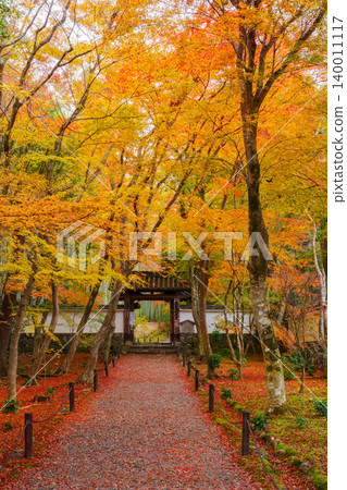 Kyoto: Jizo-in Temple (Bamboo Temple) surrounded by autumn leaves - Main Gate Kyoto: Jizo-in Temple (Bamboo Temple) surrounded by autumn leaves - Main Gate 140011117