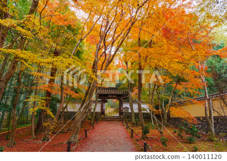 Kyoto: Jizo-in Temple (Bamboo Temple) surrounded by autumn leaves - Main Gate 140011120