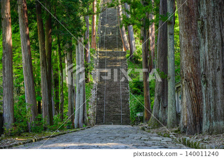 [Minobu-san] Approach to the temple and Bodhi Staircase [Kuonji Temple] 140011240