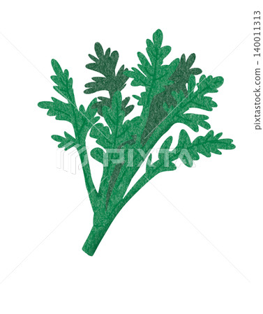 Illustration of spring chrysanthemum Illustration of spring chrysanthemum 140011313