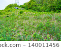 Kumamoto Prefecture, Kamiamakusa City, Otobana Tumulus Group, Tumulus 140011456