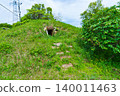 Kumamoto Prefecture, Kamiamakusa City, Otobana Tumulus Group, Tumulus 140011463