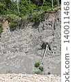 A detailed view of a sandy coastal cliff edge with lush green vegetation growing at the top, illustrating soil erosion and the natural interface between forest and shore. 140011468