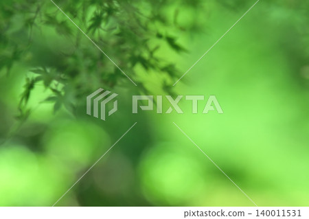 Abstract bokeh background of fresh green leaves Abstract bokeh background of fresh green leaves 140011531