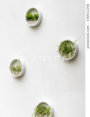 A minimalist vertical wall garden display featuring small green plants inside round wall-mounted containers A minimalist vertical wall garden display featuring small green plants inside round wall-mounted containers 140012298