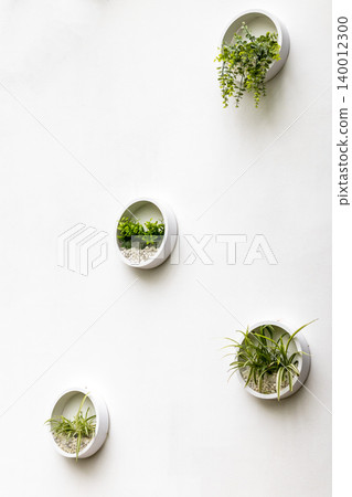 A minimalist vertical wall garden display featuring small green plants inside round wall-mounted containers A minimalist vertical wall garden display featuring small green plants inside round wall-mounted containers 140012300