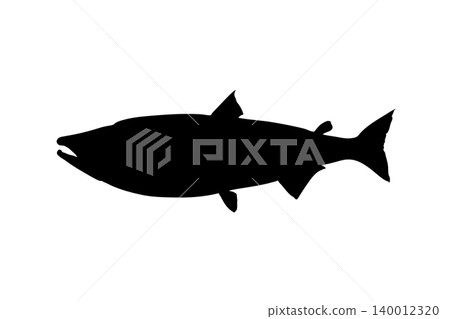 鮭魚輪廓 - 鮭魚插圖素材 鮭魚輪廓 - 鮭魚插圖素材 140012320