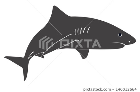 Tiger shark 140012664