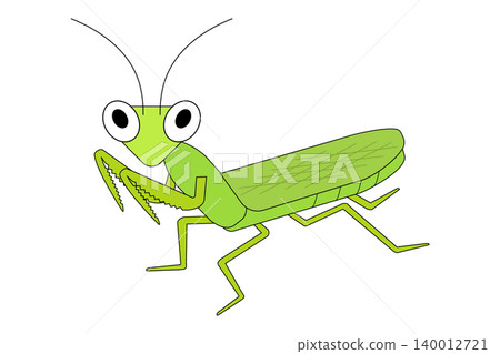 A cute illustration of a green praying mantis. 140012721