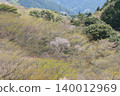 西伊豆山脊：一片翠綠落葉喬木的景觀。 140012969