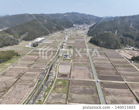 岐阜縣岐阜市彥坂美麗的一排排櫻花 岐阜縣岐阜市彥坂美麗的一排排櫻花 140013885