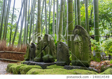 Jizo Bosatsu statues in the bamboo forest of Hokoku-ji, Kamakura Jizo Bosatsu statues in the bamboo forest of Hokoku-ji, Kamakura 140014549