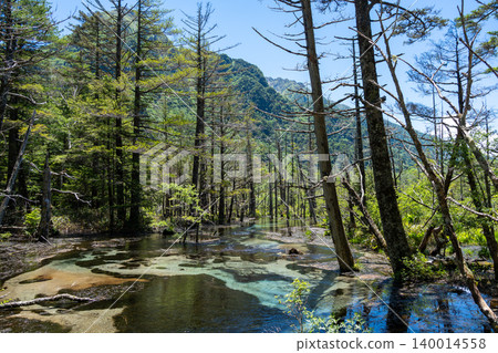 Gokusama wetlands and forest reflections in Kamikochi, Japan Gokusama wetlands and forest reflections in Kamikochi, Japan 140014558