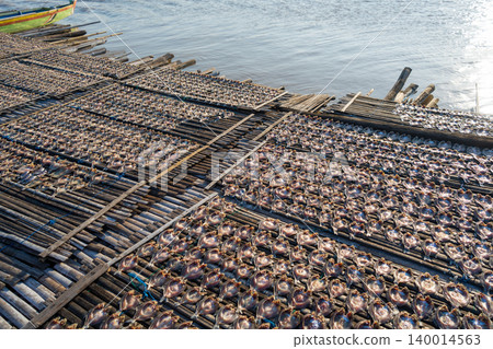 Drying fish on traditional floating house, Lake Tempe, Indonesia Drying fish on traditional floating house, Lake Tempe, Indonesia 140014563