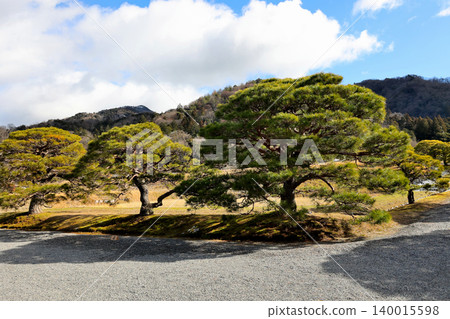 修學院皇室別墅、日式庭園、樹木 修學院皇室別墅、日式庭園、樹木 140015598